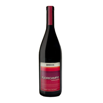 Bevovino Wineshop - Regione Trentino Alto Adige -> "Fuoricampo"
